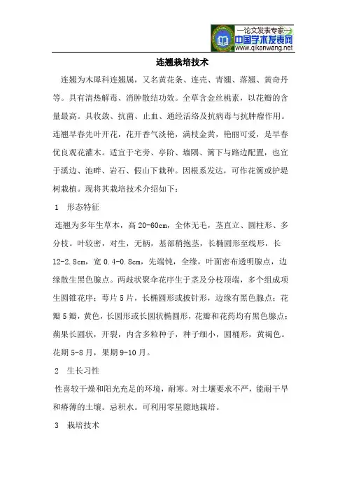 连翘栽培技术