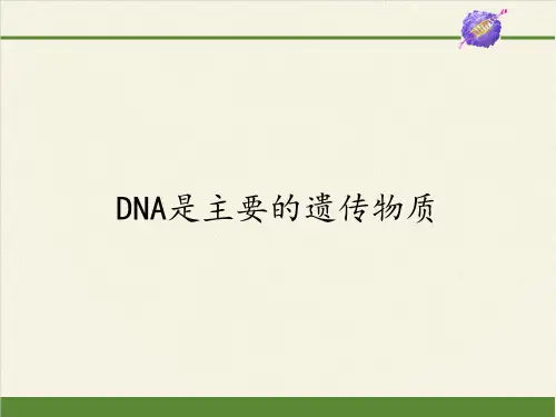 高中生物必修二课件-4.1.1DNA是主要的遗传物质2-苏教版