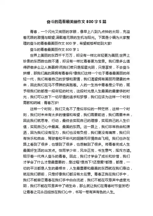 奋斗的青春最美丽作文800字5篇