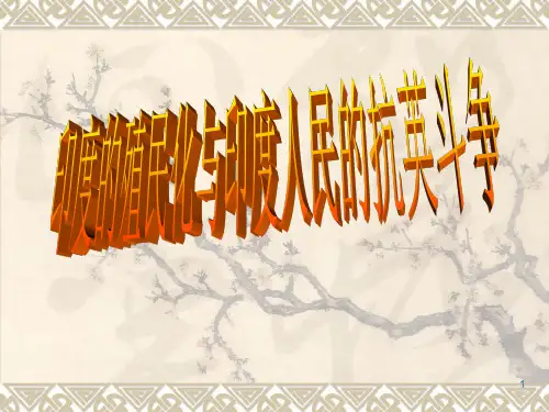华师大版九年级历史上册九年级上册第21课《印度的殖民化和印度人民的抗英斗争》课件(华东师大版)PPT课件