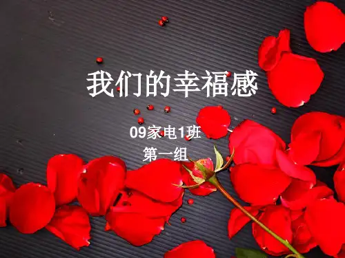 说说我们的幸福感PPT最终版