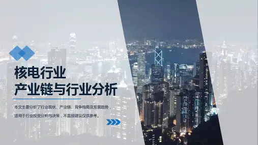 核电行业产业链与行业分析