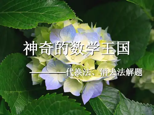 小学五年级数奥——消去法解题