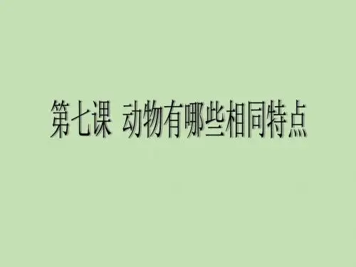 三年级科学上册第七课动物有哪些相同特点