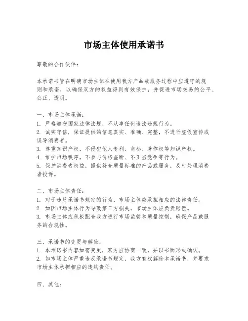 市场主体使用承诺书