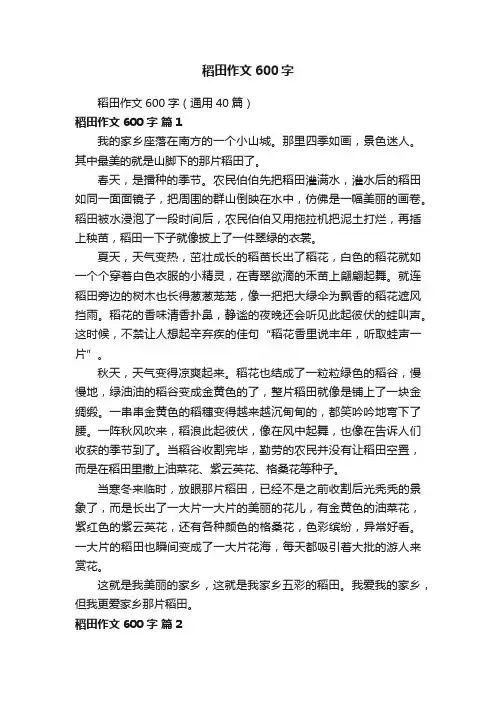 稻田作文600字（通用40篇）