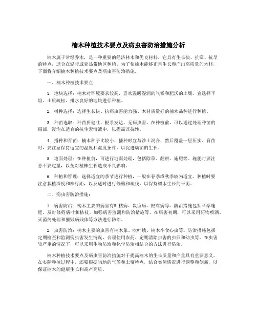 楠木种植技术要点及病虫害防治措施分析