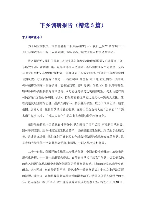 下乡调研报告(精选3篇)
