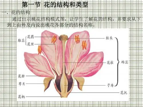 生物济南版八年级上1.1《花的结构和类型》课件