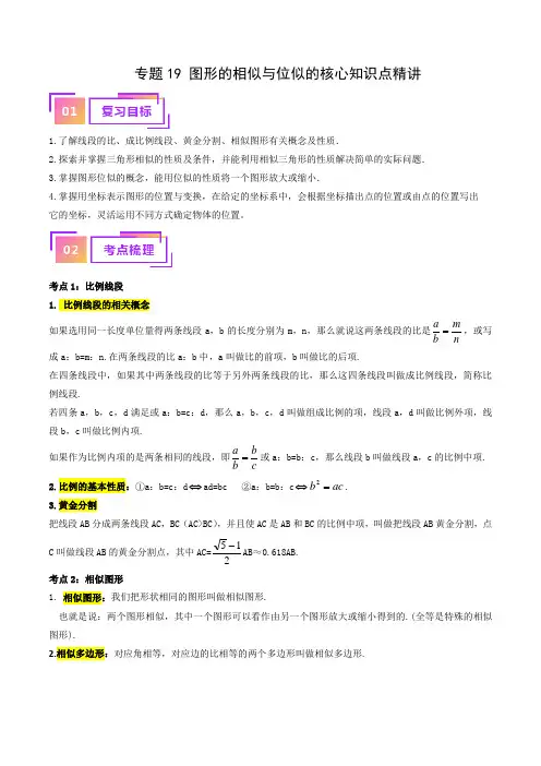 专题19 图形的相似与位似的核心知识点精讲(讲义)-备战2024年中考数学一轮复习考点帮