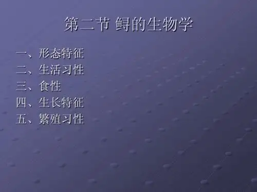 第二节 鲟的生物学