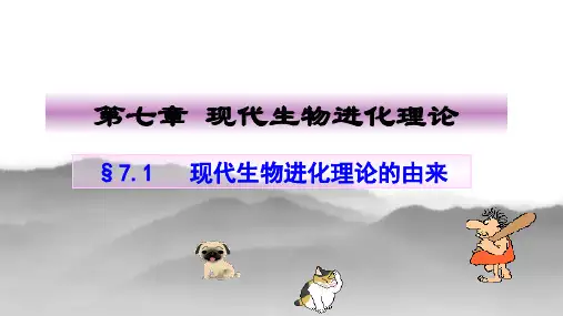 现代生物进化理论