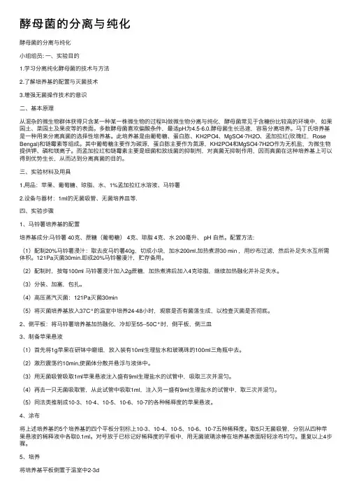 酵母菌的分离与纯化