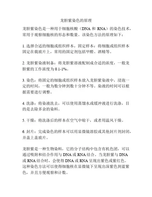龙胆紫染色的原理