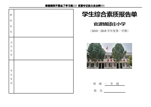 小学生综合素养报告单模板