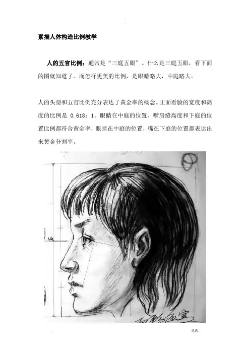 素描人体结构比例教学