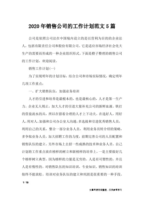 2020年销售公司的工作计划范文5篇_工作计划