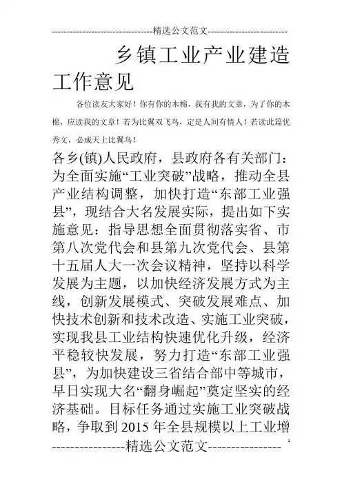 乡镇工业产业建造工作意见_0