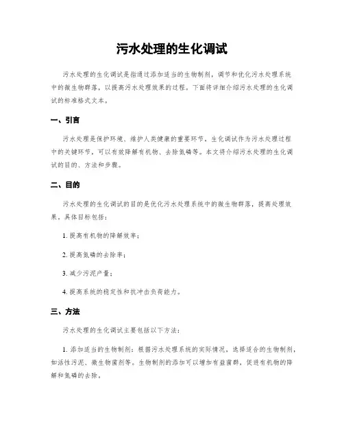 污水处理的生化调试