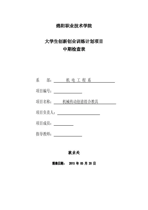项目中期检查表