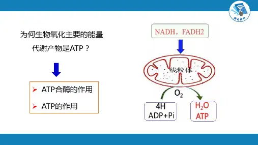 生物化学及分子生物学(人卫第九版)-06-03节生物氧化