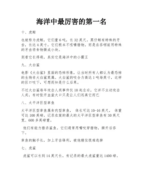 海洋中最厉害的第一名