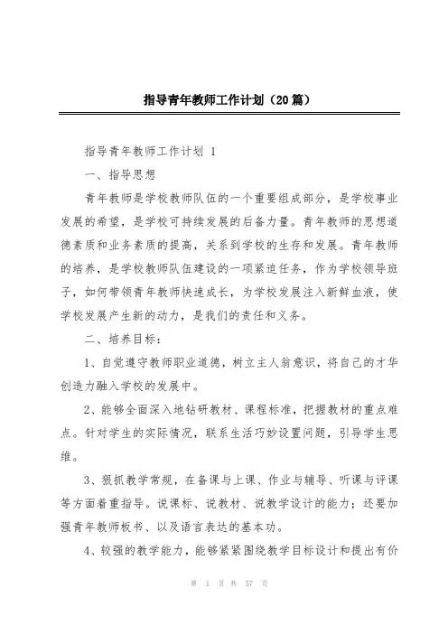 指导青年教师工作计划(20篇)