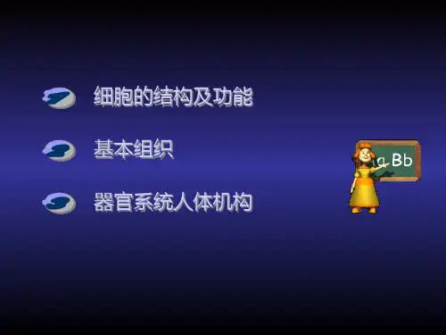 第一章人体基本结构_PPT幻灯片