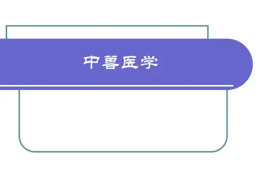 中兽医学 PPT课件