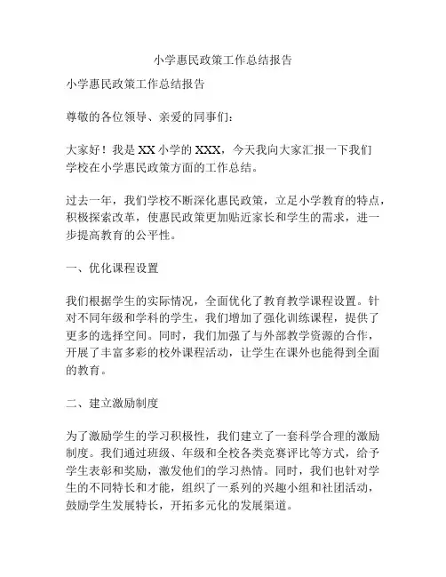 小学惠民政策工作总结报告