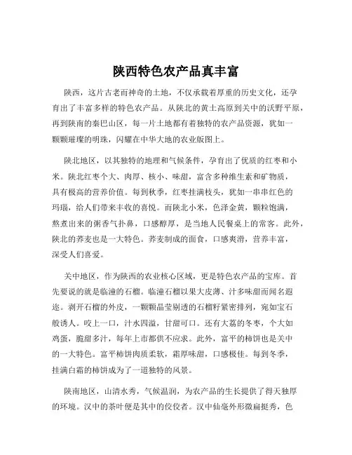 陕西特色农产品真丰富