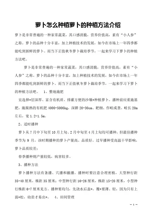 萝卜怎么种植萝卜的种植方法介绍