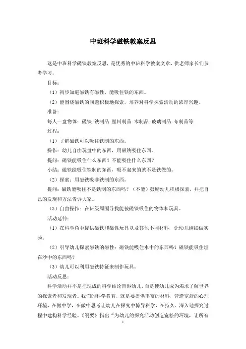 中班科学磁铁教案反思
