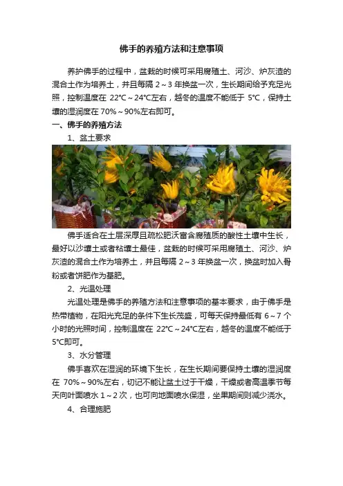 佛手的养殖方法和注意事项