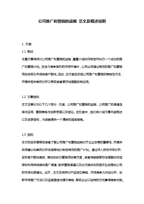 公司推广和营销的战略_范文及概述说明