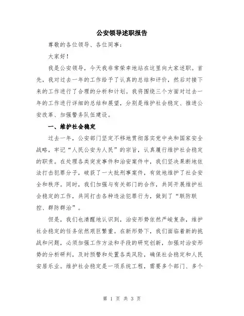 公安领导述职报告