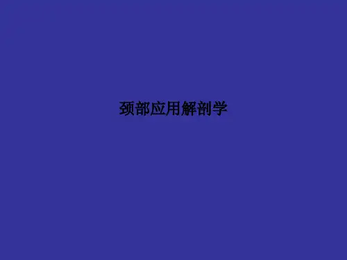 [医学]颈部应用解剖学