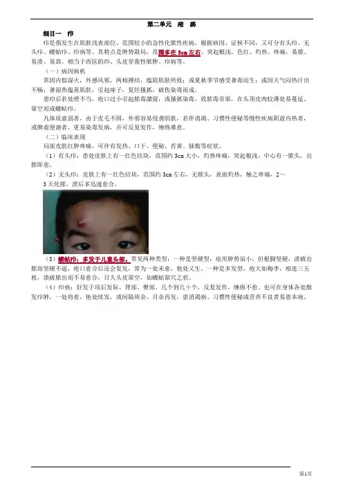 中医(专长)-中医外科学-疮 疡