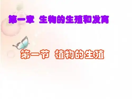植物的生殖PPT课件