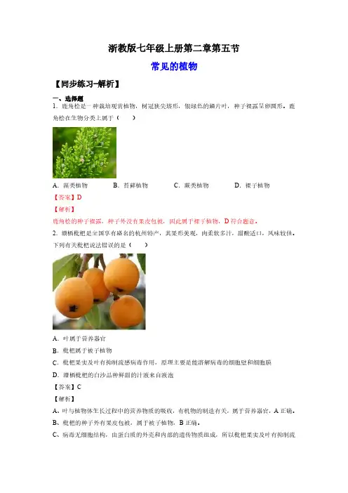 七年级科学上册.常见的植物(练习)(解析版)