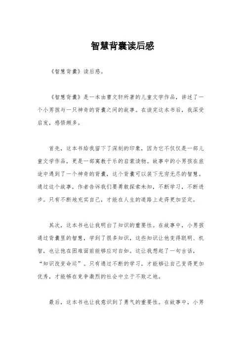 智慧背囊读后感