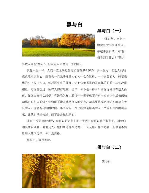 黑与白(共10篇)