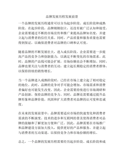 品牌发展历程发展前景