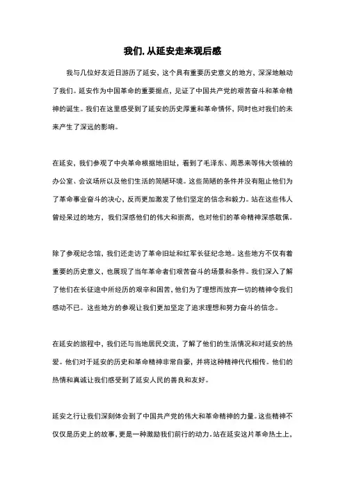 我们,从延安走来观后感