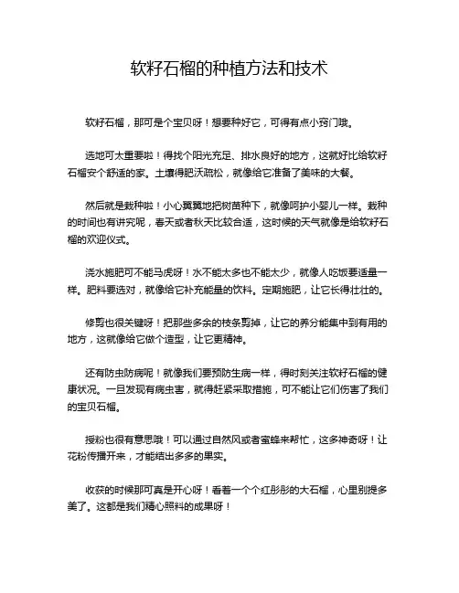 软籽石榴的种植方法和技术