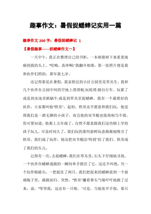 趣事作文：暑假捉蟋蟀记实用一篇