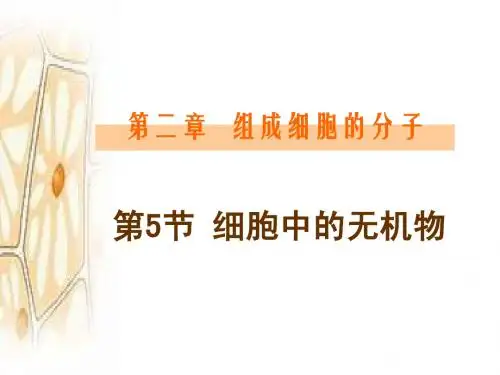 1-2-5 细胞中的无机物(!)