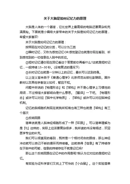 关于大脑是如何记忆力的原理