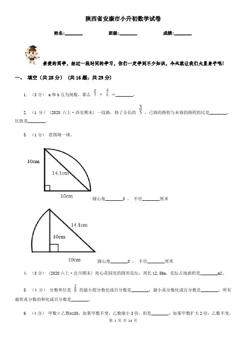 陕西省安康市小升初数学试卷