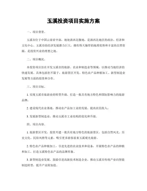 玉溪投资项目实施方案